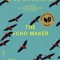 The Echo Maker