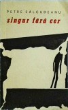 Petre Salcudeanu - Singur fara cer