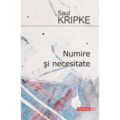 Numire si necesitate, Saul Kripke