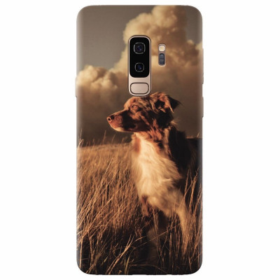 Husa silicon pentru Samsung S9 Plus, Alone Dog Animal In Grass foto