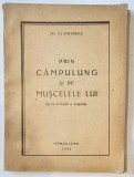 Nic. Theodor Stefanescu (dedicatie), Prin Campulung si pe Muscelele lui, 1946