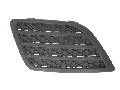 Grila proiector ceata dreapta Ford Fiesta 2005-2008 foto