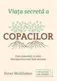Cumpara ieftin Viata secreta a copacilor. Cum comunica, ce simt. Descoperirea unei lumi ascunse/Peter Wohlleben