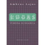 Lugas - Pomona Hungarica - Ambrus Lajos