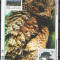 Bolivia 1994 conservarea mediului fauna MI bl. 213 MNH