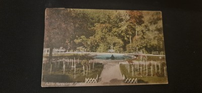 Baile Herculane - Parcul. foto