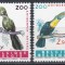 Belgia 1962 - Păsări exotice, MNH