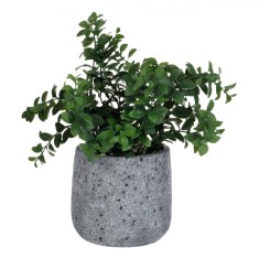 Ghiveci Decorativ, Model N/A, Ciment, Plantă Artificială, Verde, Diametru 13cm, &Icirc;nălțime 30cm