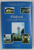 PILDESTI , MONOGRAFIE ISTORICA de ALOIS MORARU ... ANTON COSA , 2002 *MICI DEFECTE COTOR