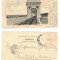 Cernavoda 1904 - Podul Regele Carol I, Fetesti, ilustrata circul