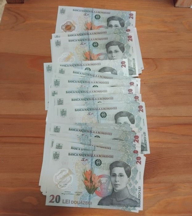 V&acirc;nd bacnote de 20 lei - Ecaterina Teodoroiu