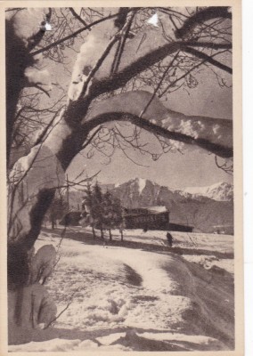 AMS - ILUSTRATA 1300, PREDEAL - CIOPLEA - VEDERE, CU PERFORARI foto