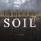 Ordinary Soil