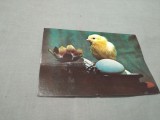 CARTE POSTALA --FELICITARE PASTI NECIRCULATA, Printata