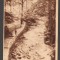 CPIB 21286 CARTE POSTALA - SLANIC MOLDOVA. CASCADA, LIBRARIA NOASTRA, RPR