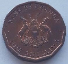 1 shilling Uganda 1987, UNC, Luciu de batere foto