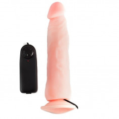 Vibrator cu telecomanda 22 cm foto