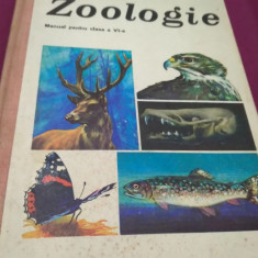 Manual CLASA VI ZOOLOGIE C.BOGOESCU, DABIJA 1974 CARTONATA T10