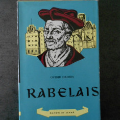 OVIDIU DRIMBA - RABELAIS