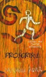 Cumpara ieftin Proscrisul. Cronici din Tinuturi intunecate. Volumul 4/Michelle Paver, Rao