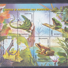 M1 TX2 10 - 2003 - Reptile si amfibieni din Romania - bloc