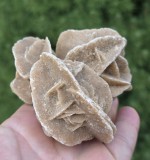 CRISTAL NATURAL - TRANDAFIRUL DEȘERTULUI