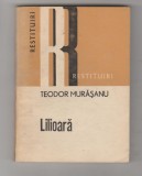 bnk ant Teodor Murasanu - Lilioara