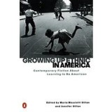 Growing Up Ethnic in America