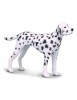 Figurina Dalmatian - Collecta