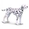 Figurina Dalmatian - Collecta