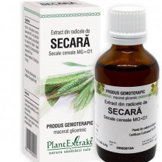 Extract din radicele de secara 50ml