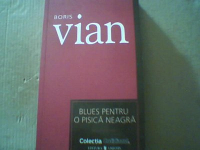 Boris Vian - BLUES PENTRU O PISICA NEAGRA { colectia &amp;#039; Cotidianul &amp;#039; } / 2007 foto