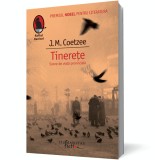 Tinereţe. Scene de viaţă provincială, Humanitas Fiction