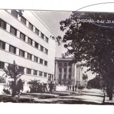 CP Timisoara - B-dul "23 August", RPR, circulata 1958, stare buna, cu pliu