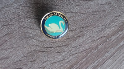 QW9 N8 21 - insigna - tematica caritate - Amawaterways - privilege foto
