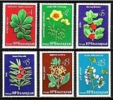 C5889 - -Bulgarie 1976 - Flora 6v. nestampilate MNH ,serie completa, Nestampilat