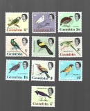 gambia pasari sarniera