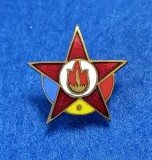 Insigna - PIONIER - &quot;STEA&quot;