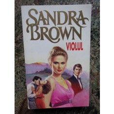 Sandra Brown - Violul