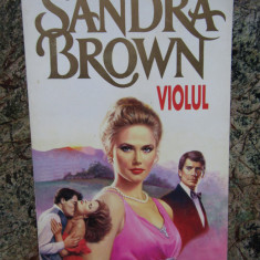 Sandra Brown - Violul