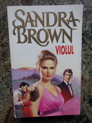 Sandra Brown - Violul foto