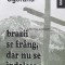 Brazii se frang, dar nu se indoiesc (volumul 2) - 1995 - Ion Gavrila (J93)