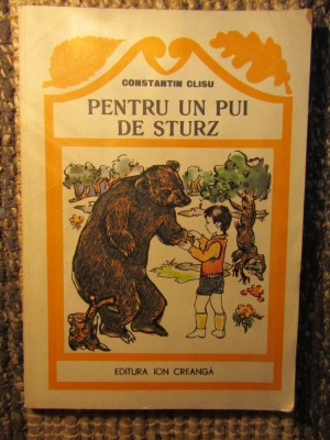 CONSTANTIN CLISU - PENTRU UN PUI DE STURZ foto