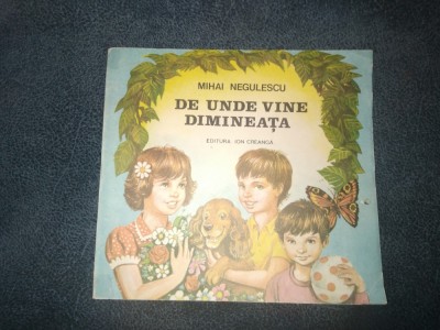 MIHAI NEGULESCU - DE UNDE VINE DIMINEATA foto