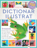 Primul meu dicționar ilustrat - Hardcover - *** - Litera mică