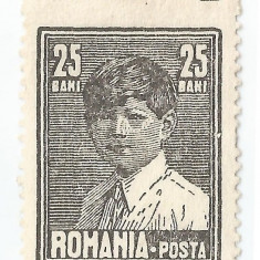 *Romania, LP 77a/1928, Mihai I, format mare, fara filigran, eroare, MNH