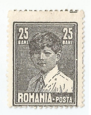 *Romania, LP 77a/1928, Mihai I, format mare, fara filigran, eroare, MNH foto