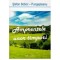 Stefan Boboc-Pungesteanu - Amprentele unor timpuri - 126484