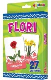 Flori. 27 de cartonase