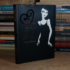DANA BUDEANU - MANUAL DE STIL * ILUSTRATII VALERIA MOLDOVAN , 2008 + foto